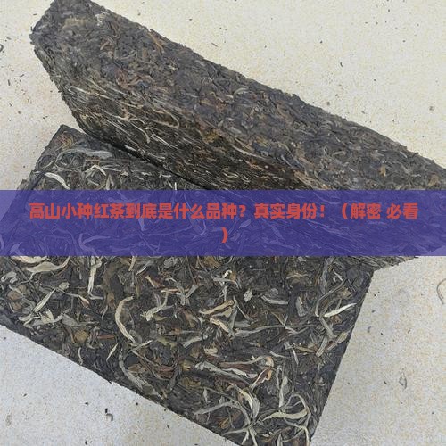 高山小种红茶是哪个品种