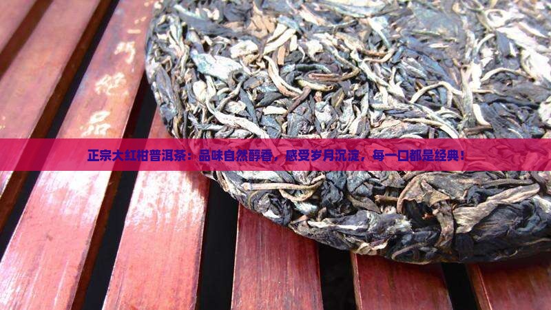 正宗大红柑普洱茶