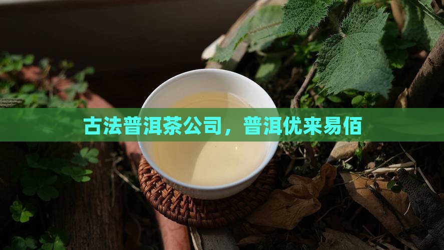 古法普洱茶优来易佰