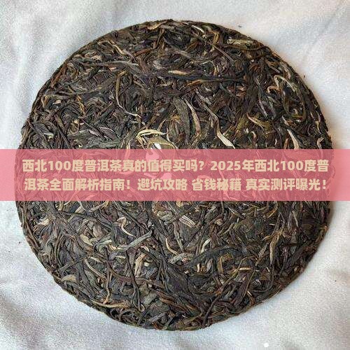 西北100度普洱茶