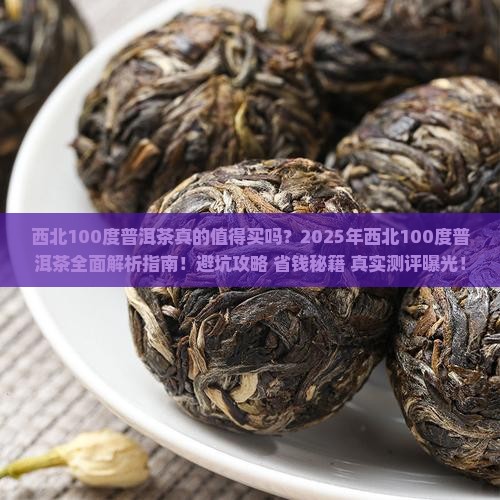 西北100度普洱茶