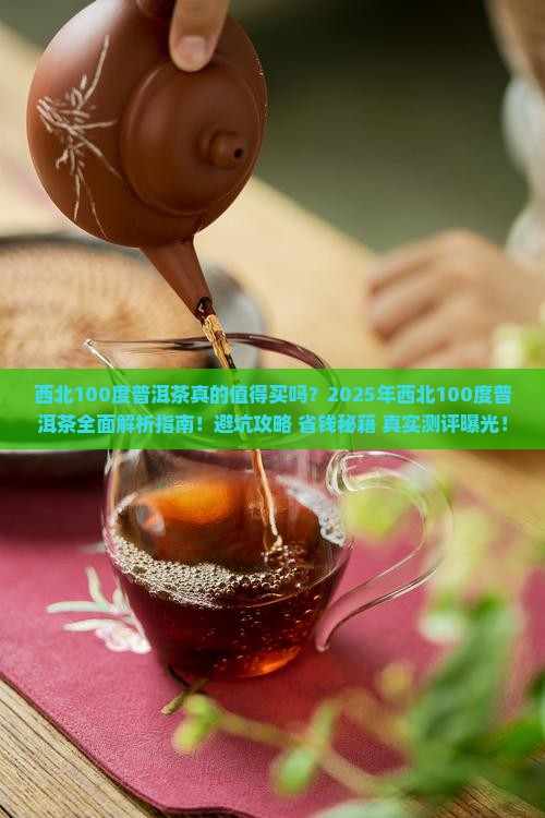 西北100度普洱茶