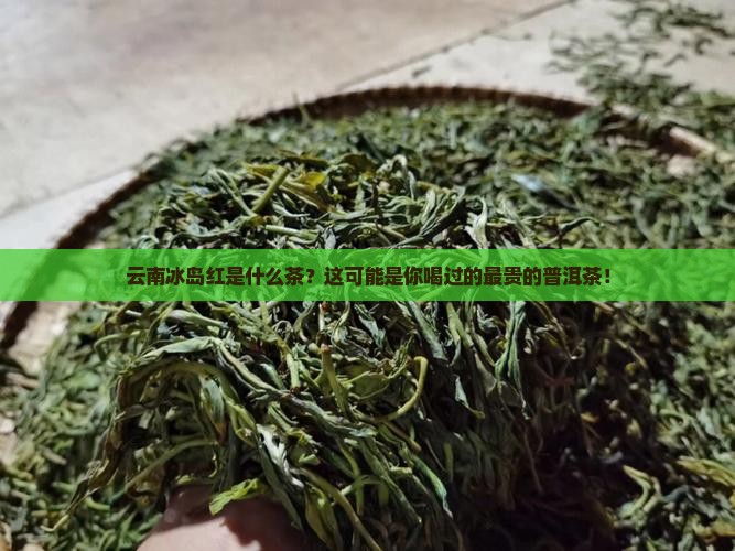 云南冰岛红是什么茶