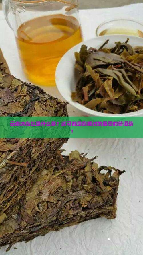 云南冰岛红是什么茶