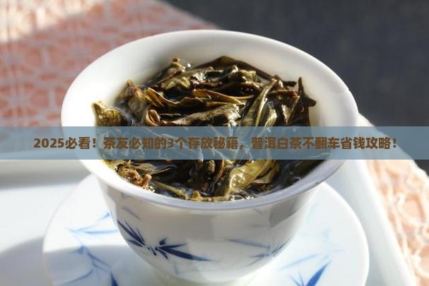 普洱茶白茶怎么存放