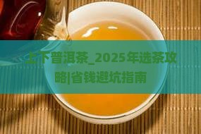 上下品牌普洱茶