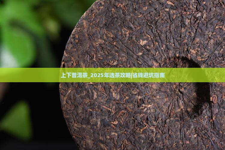 上下品牌普洱茶
