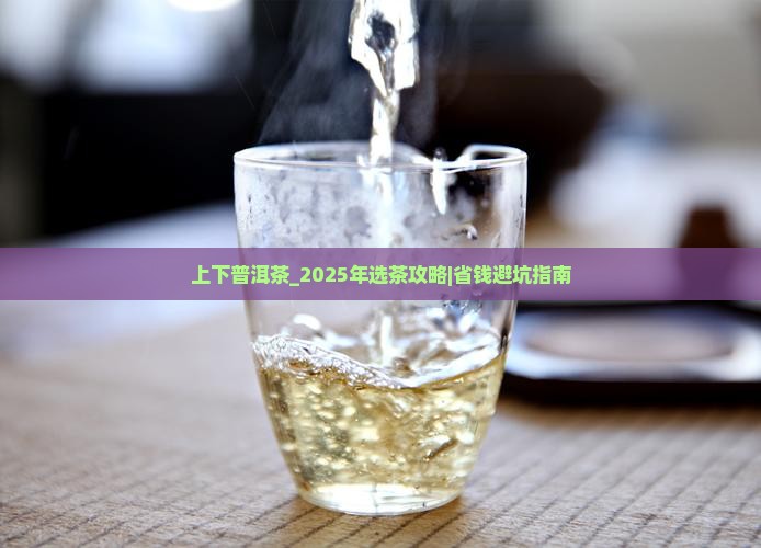 上下品牌普洱茶