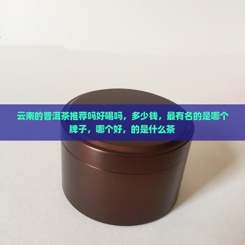 云南的普洱茶推荐吗好喝吗