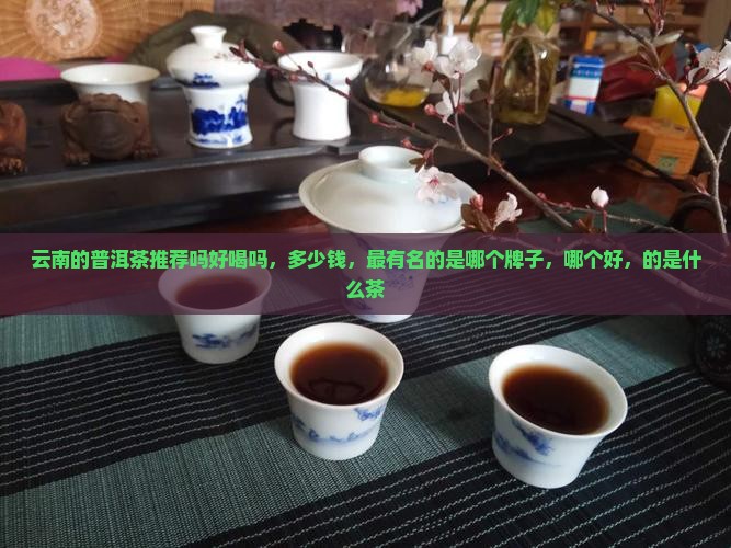 云南的普洱茶推荐吗好喝吗