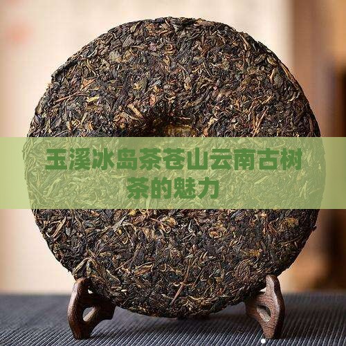 玉溪冰岛茶苍山