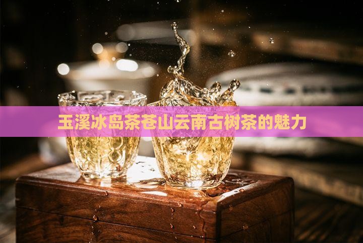 玉溪冰岛茶苍山