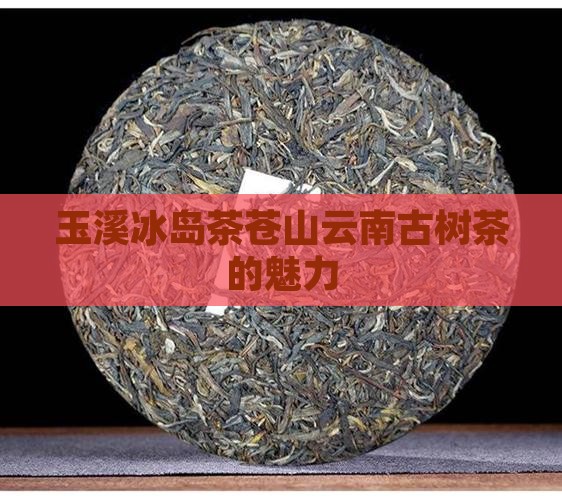 玉溪冰岛茶苍山