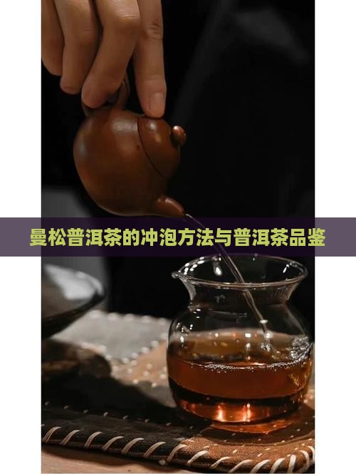曼松普洱茶的做法