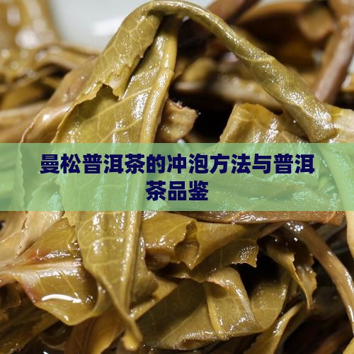 曼松普洱茶的做法