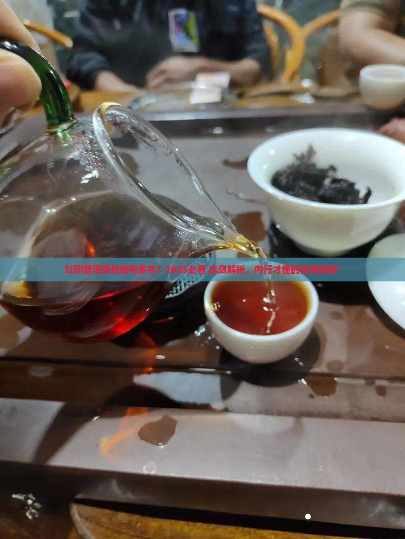红印普洱茶指哪些