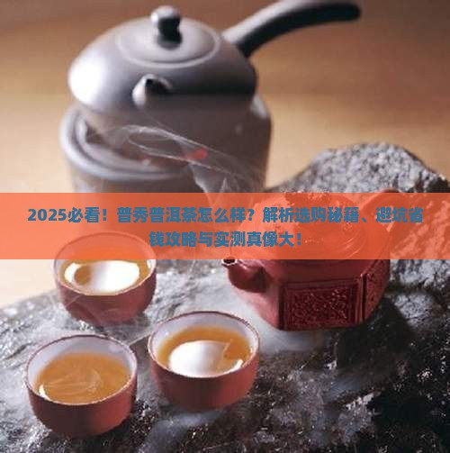 普秀普洱茶怎么样