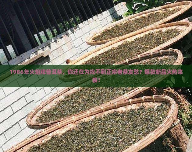 1986年火焰牌普洱茶