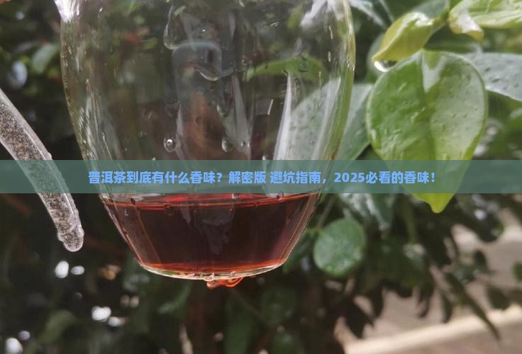 普洱茶的什么香味