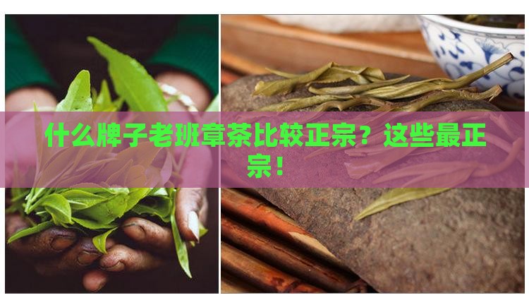 什么牌子老班章茶比较正宗