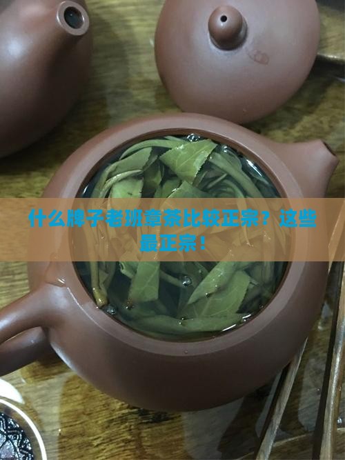 什么牌子老班章茶比较正宗