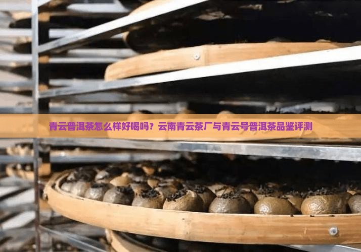 青云普洱茶怎么样