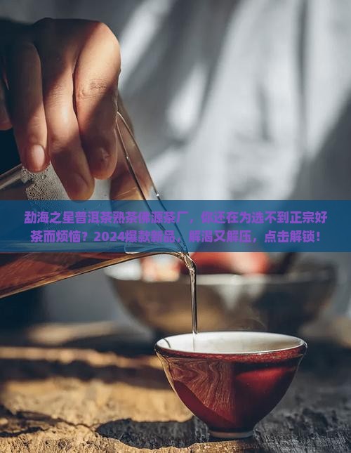 勐海之星普洱茶熟茶佛源茶厂