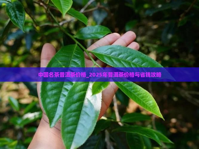 中国名茶普洱茶价格