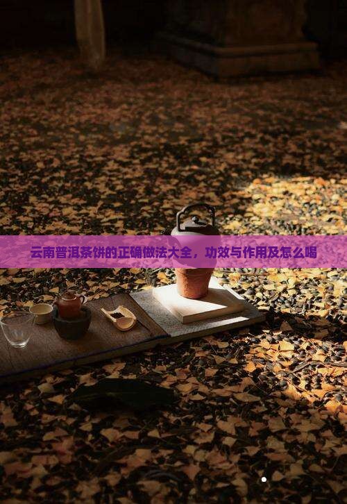 云南普洱茶饼的正确做法