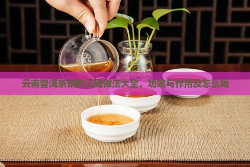 云南普洱茶饼的正确做法