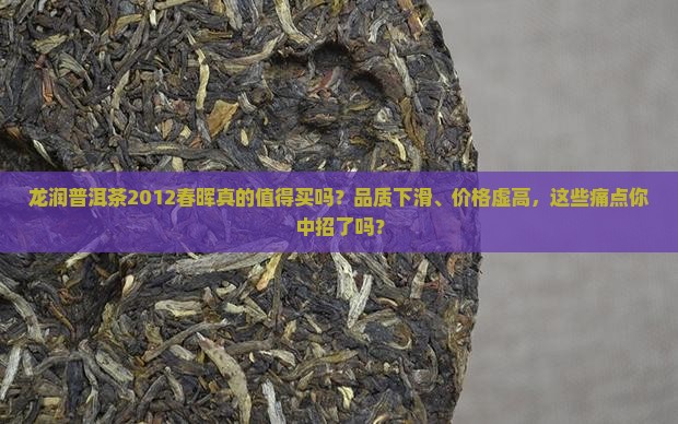 龙润普洱茶2012春晖