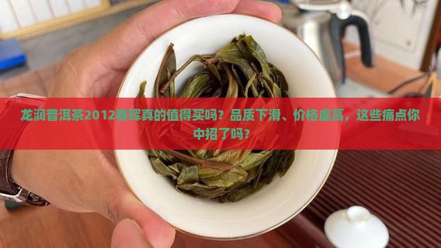 龙润普洱茶2012春晖