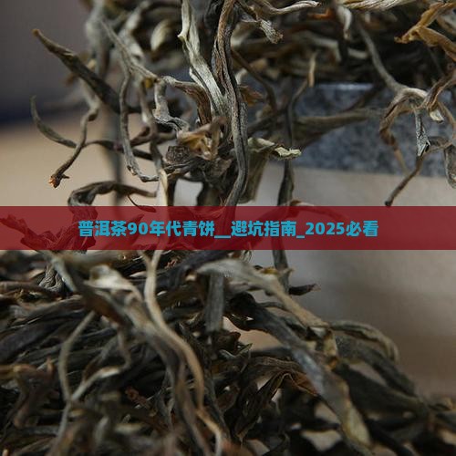 普洱茶90年代青饼