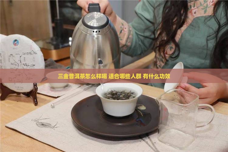 三金普洱茶怎么样喝