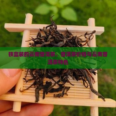 黑色铁盒子装的普洱茶