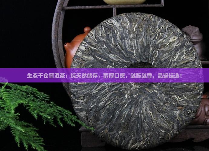 生态干仓普洱茶