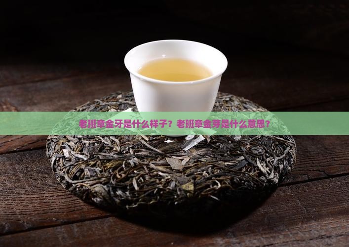 老班章金牙是什么样子