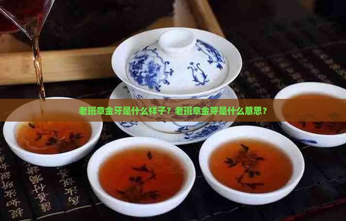 老班章金牙是什么样子