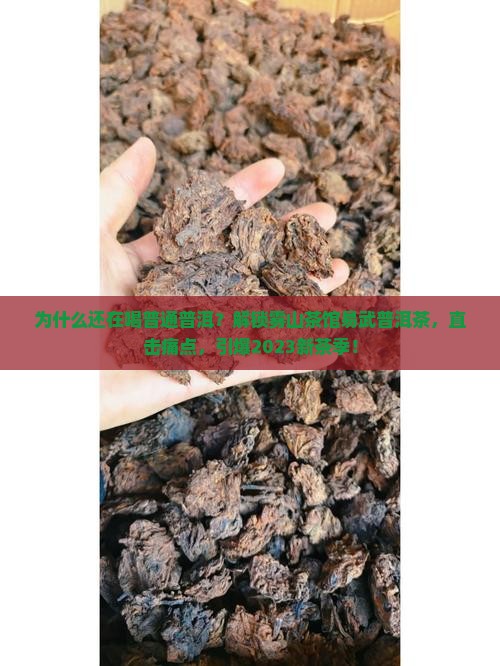 雾山茶馆易武普洱茶