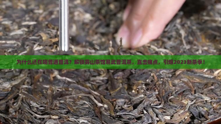雾山茶馆易武普洱茶