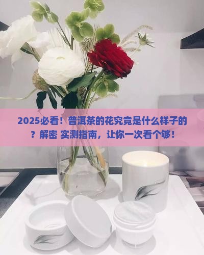 普洱茶的花是什么样子的