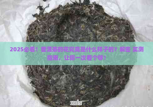 普洱茶的花是什么样子的