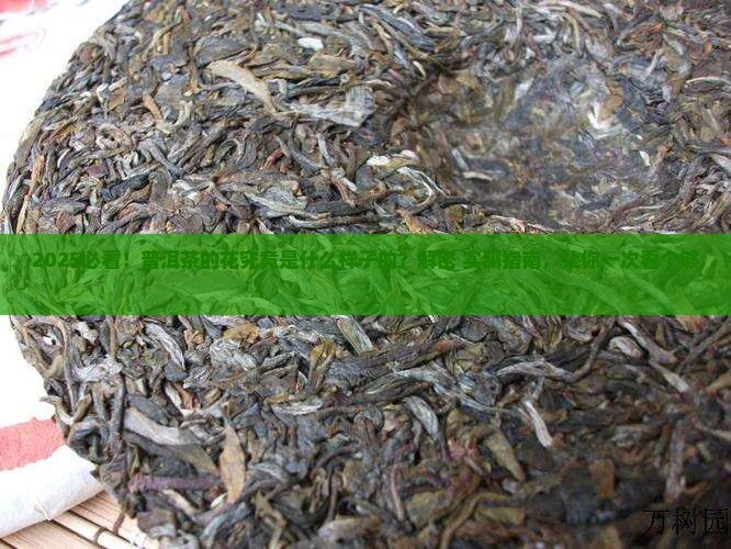 普洱茶的花是什么样子的