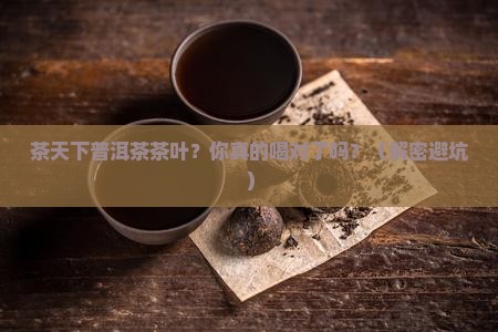 茶天下普洱茶茶叶