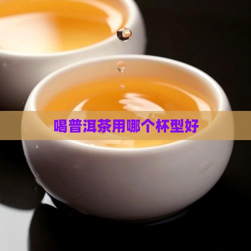 喝普洱茶用哪个杯型好