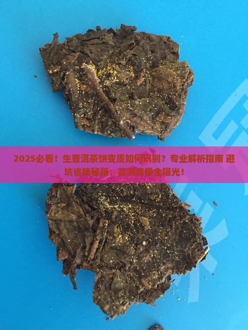 如何看生普洱茶饼是否变质