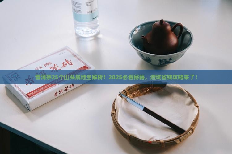 普洱茶25个山头属地