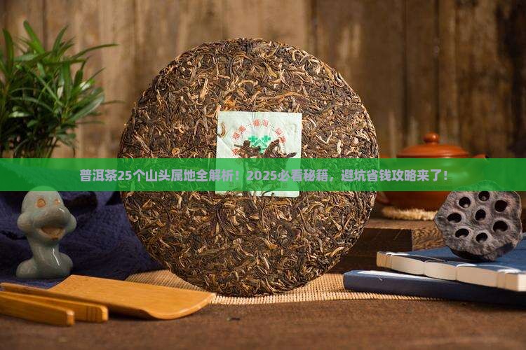 普洱茶25个山头属地