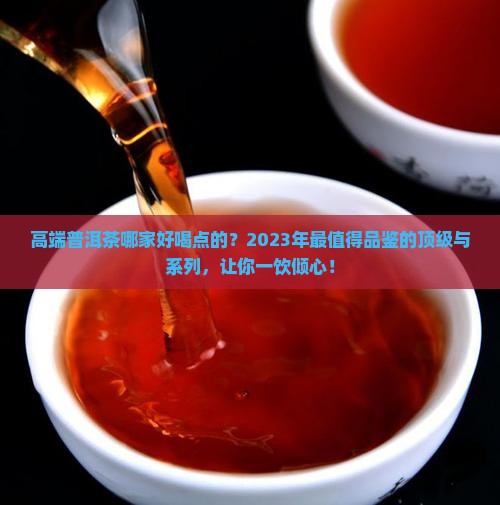 高端普洱茶哪家好喝点的