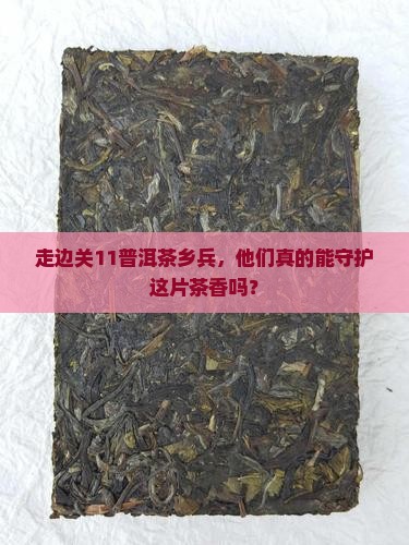 走边关11普洱茶乡巡逻兵 走边关11普洱茶乡巡逻兵